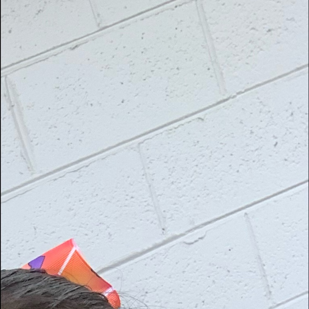 Meet your Posher, Liz